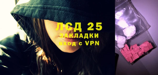 ПСИЛОЦИБИНОВЫЕ ГРИБЫ Елабуга