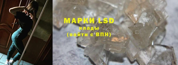 ПСИЛОЦИБИНОВЫЕ ГРИБЫ Елабуга