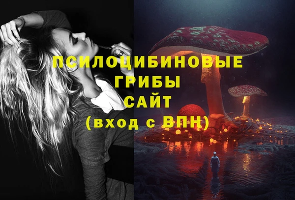 ПСИЛОЦИБИНОВЫЕ ГРИБЫ Елабуга