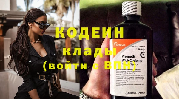 ПСИЛОЦИБИНОВЫЕ ГРИБЫ Елабуга